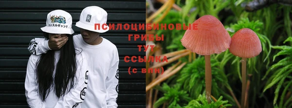 трава Сатка