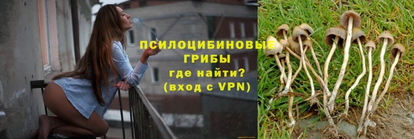 синтетический гашиш Богородск