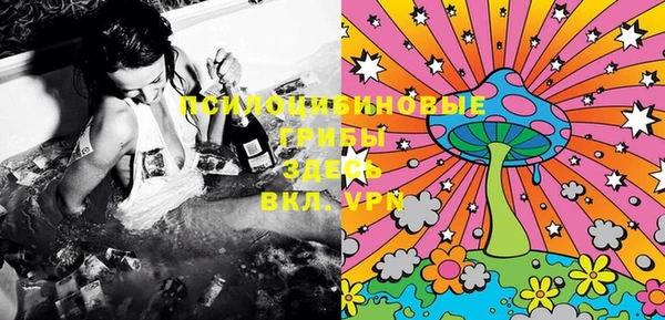марки lsd Богородицк
