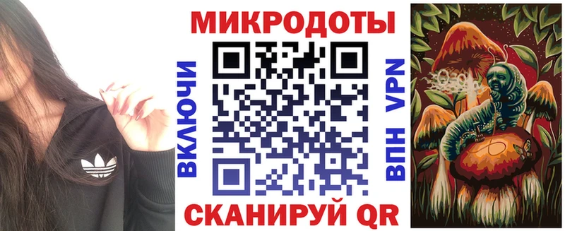 Псилоцибиновые грибы Cubensis Кувандык