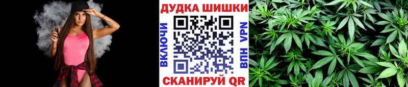 купить  сайты  Кувандык  Канабис VHQ 